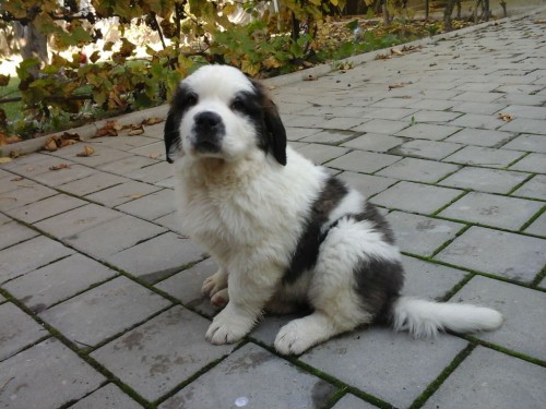 20141019_114709 20141019_114709