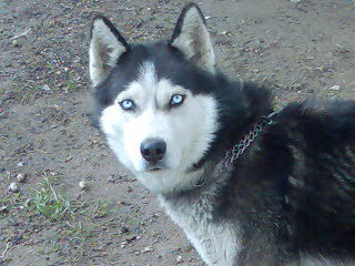 Bild 00014 Bild 00014