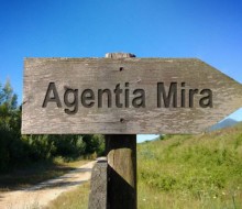 PhotoFunia-15241180