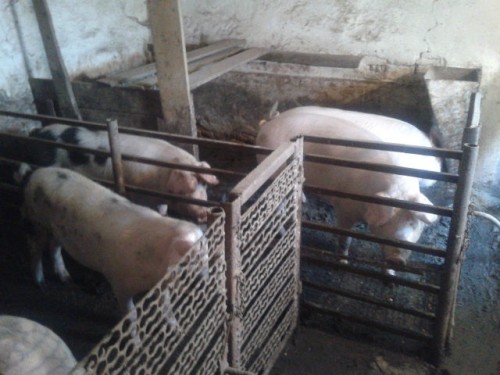 20141106_105006 20141106_105006