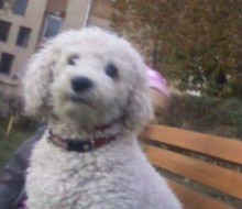 lorddddddddddddddddddddddddd