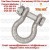 G2130A CHEIE TACHELAJ GAMBETI SHACKLES CROSBY 01dr
