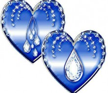 1000779_1390482561167694_504532517_n