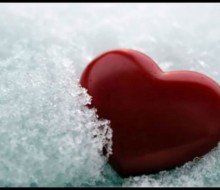 1453336_3784144619707_114826907_n