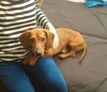 pizap.com14283004496091