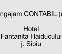 contabil