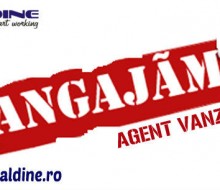 angajare-copy