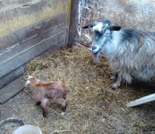 10401585_842219172526621_7279814936463104606_n