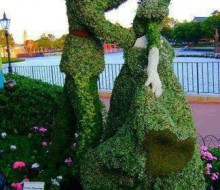 10403073_588462871268588_8249100398833440067_n