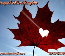 1.Grup MiraSingles.65d