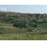 poza_anunturi_1163238