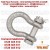 G2130A CHEIE TACHELAJ GAMBETI SHACKLES CROSBYdt