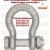 G2130A CHEIE TACHELAJ GAMBETI SHACKLES CROSBY 031