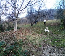 IMG_20131117_154845011