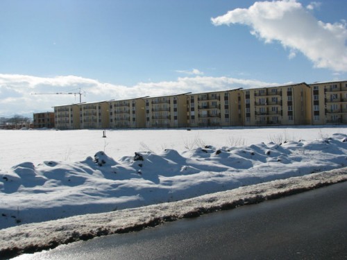 IMG_2868 IMG_2868