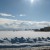 IMG_2873 IMG_2873