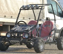 buggy 125cc (1)