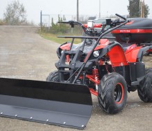 ATV 1000W Electric  (1)