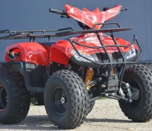 Bmw 125cc roti 8  (3)