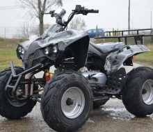 ATV 250cc Warrior  (2)