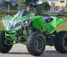 ReneGade 125cc 8 Verde  (6)