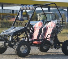 buggy 125cc  (4)
