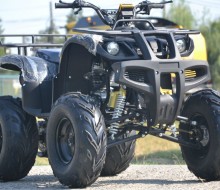 mega grizzly 250  (7)