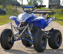 Alien Quad 125cc  (19)