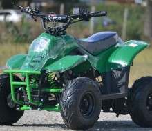atv 125cc panzer  (8)