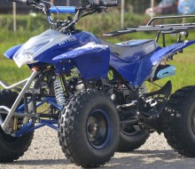 Alien Quad 125cc  (5)