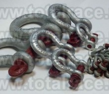 chei tachelaj omega g209 shackles crosby chei tachelaj cu bolt filetat6