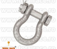 G2130A CHEIE TACHELAJ GAMBETI SHACKLES CROSBY 01