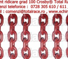 lant grad 100 lanturi dispozitive ridicare grad 100 rosu crosby total race romania contact