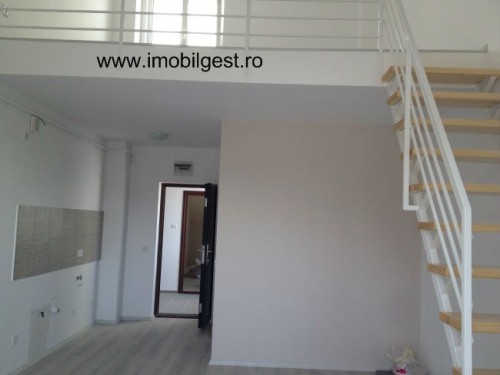 IMG_3110 - Copy IMG_3110 - Copy