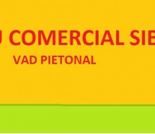Spatiu comercial