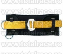 232-rgbe-ta4pointworkpositioningbelt001_med