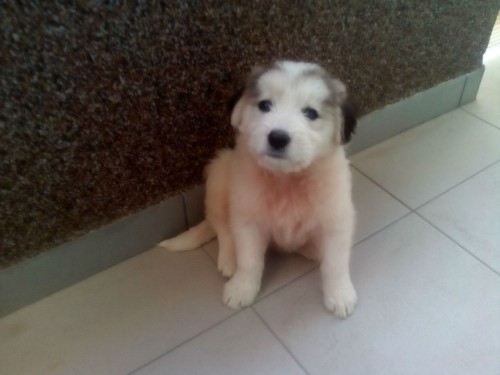 IMG_20160630_072909 IMG_20160630_072909