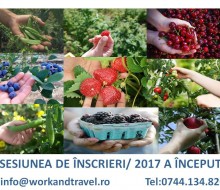 mix zoldseg gyumolcs 2017