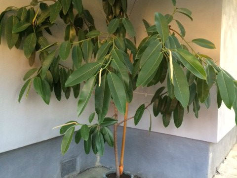 IMG_1127ed IMG_1127ed