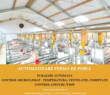 automatizare ferma porci
