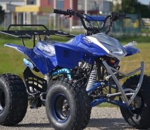 Alien Quad 125cc  (1)