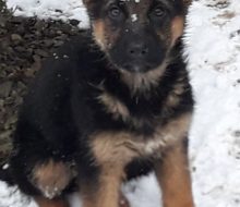 28309209_1220159078114628_831946280_o