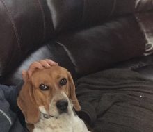 9A5DEF2E-6CAA-402D-853D-4F1200669652