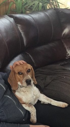 9A5DEF2E-6CAA-402D-853D-4F1200669652 9A5DEF2E-6CAA-402D-853D-4F1200669652