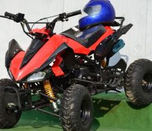 ATV KXD RAPTOR 124 CMC (5)