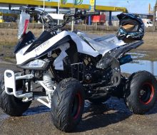 atv 125cc speedy rg7  (5)