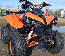 125cc Warrior RG8 (11)