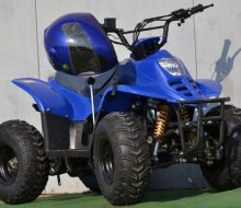 Bigfoot albastru 1 (4)