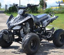 atv 125cc Speedy black  (1)