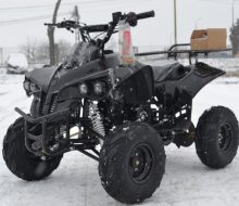 Renegade 125cc  (1)